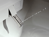 hansgrohe LavaPura Element douchetoilet